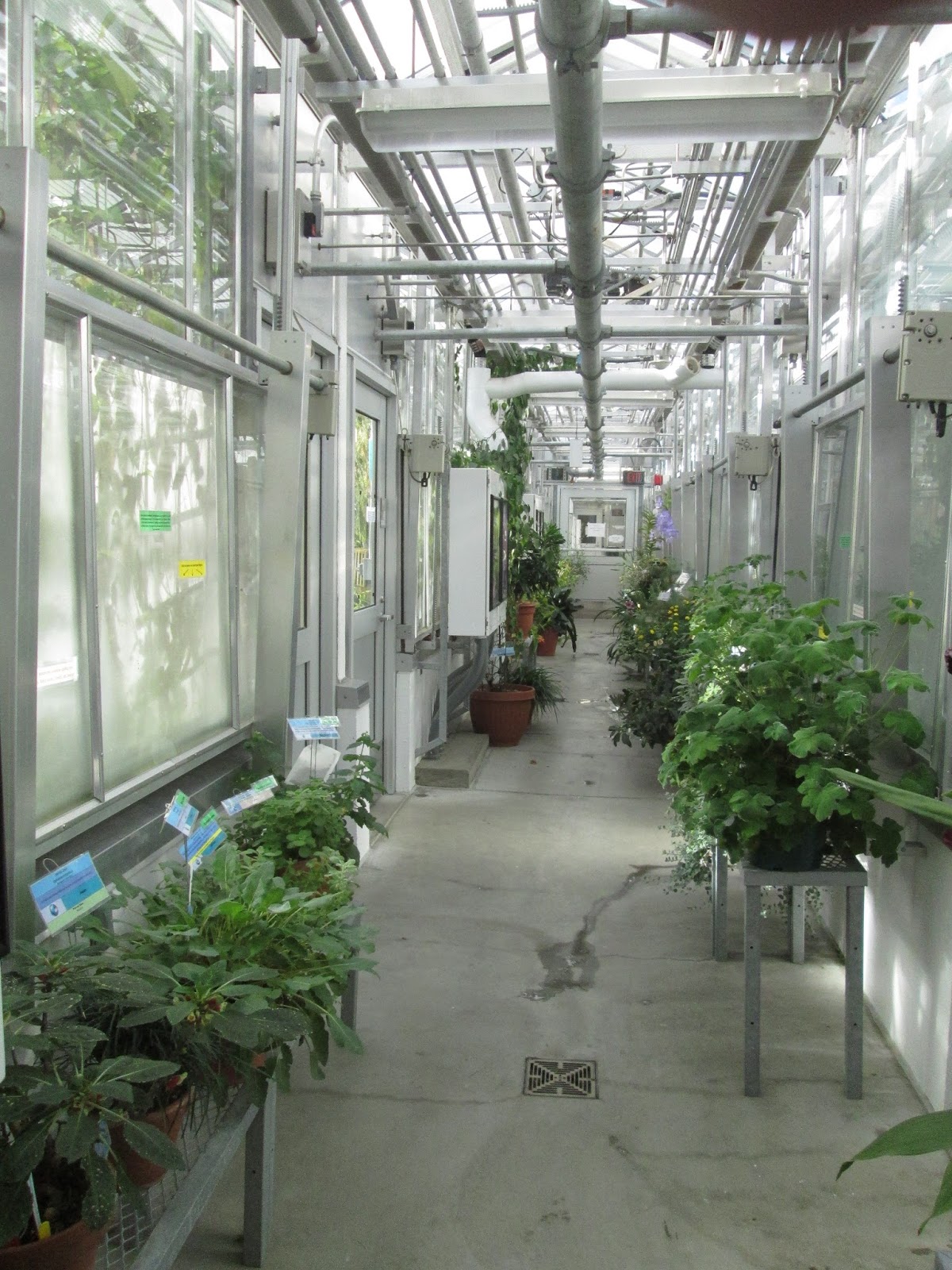 Unity College in Maine Internship Program Unity College Dartmouth Greenhouse Week 1