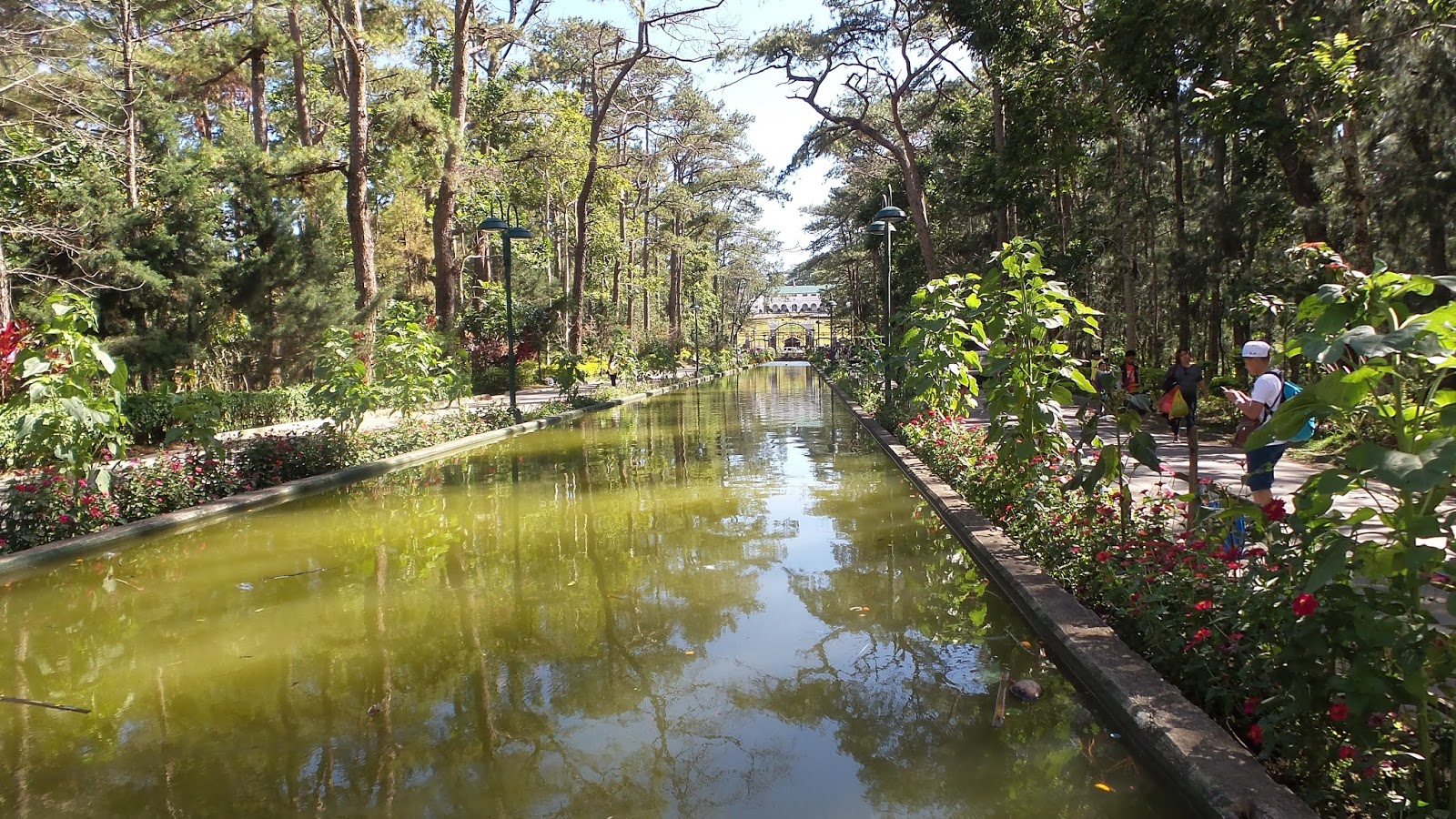 Trails and Travelogues Baguio City's Wright Park