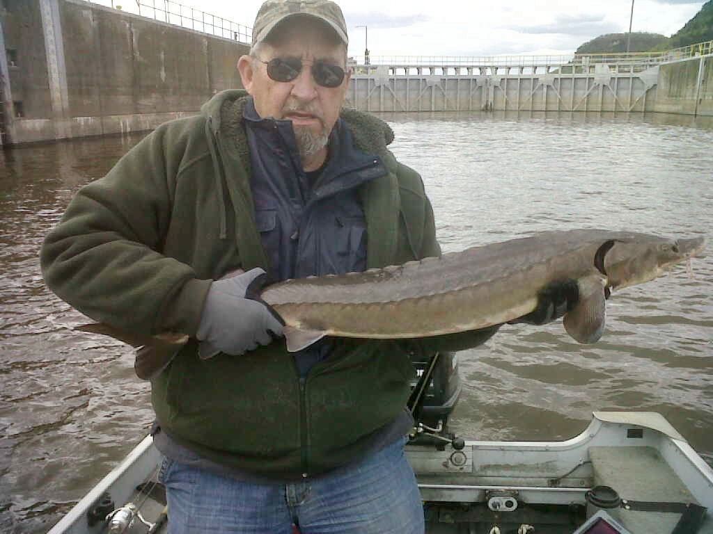 DRIFTLESS GEMS WHAT A MEMORY!!!