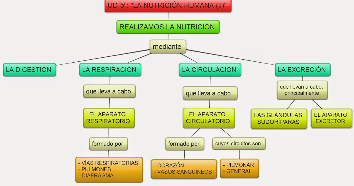 View Mapa Conceptual De La Nutricion Pics Nietma My XXX Hot Girl View Mapa Conceptual De La Nutricion Pics Nietma My XXX Hot Girl