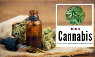 Aceite de Cannabis en listado de aceites esenciales y esencias para Aromaterapia