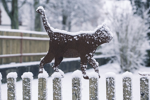 gato corazón hielo nieve congatosloloco congatos cuento