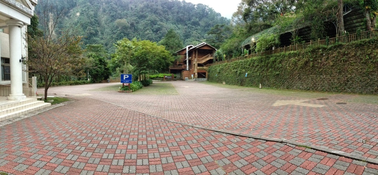 森林(ジャングル)