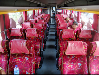interior Bus Primajasa