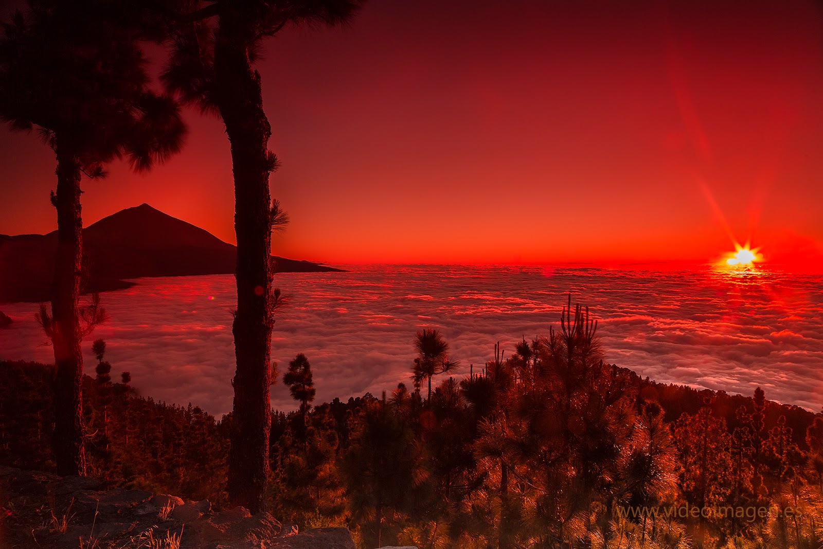 VENTEATENERIFE TENERIFE PUESTAS DE SOL.