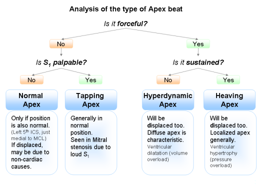 Algorithm for classification of the apex beat characters