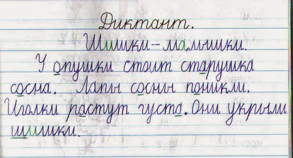 Пишем слова под диктовку. Написать диктант. Русский язык диктант. Школьный диктант. Маленький диктант.