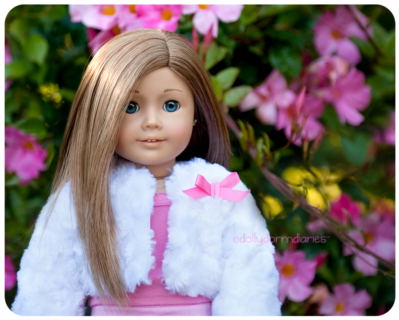 Meet our American Girl doll, Christina. Read 18 inch doll diaries at our American Girl Doll House. Visit our 18 inch dolls dollhouse!