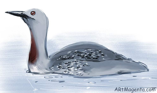 Red-throated Loon is a bird sketch by artist and illustrator Artmagentasketch painting. Bird art drawing by illustrator Artmagenta