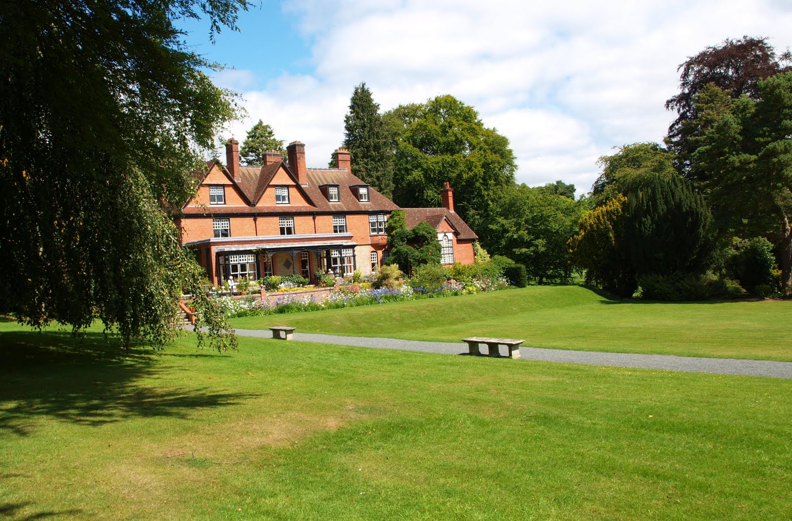 Mark's Veg Plot: August 2011