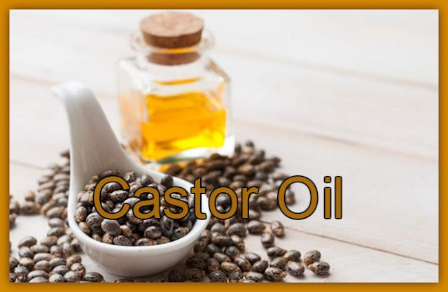 5 Best Deals Castor Oil Brands in India for Healthy Hair and Skin