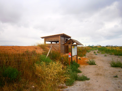 Zona de observación de aves de La Marjal dels Moros, Humedal perteneciente a Puçol y Sagunto, Comunidad Valenciana, España