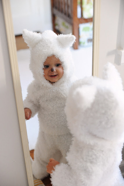Rust & Sunshine: White Wolf Pup (or Ghost the Direwolf) Costume