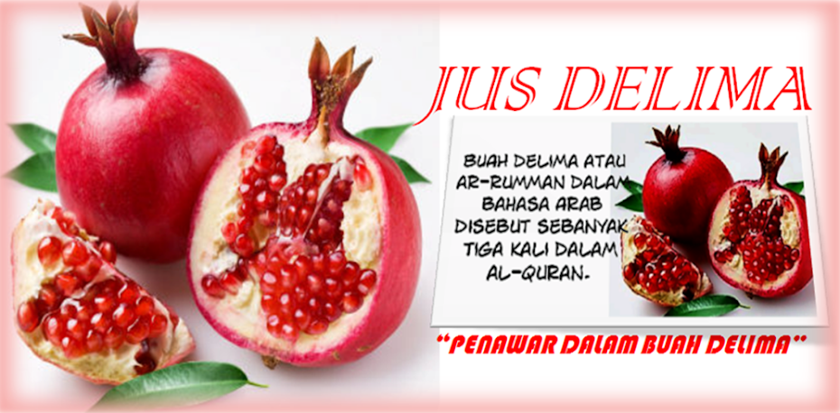 Jus Delima Pilihanku