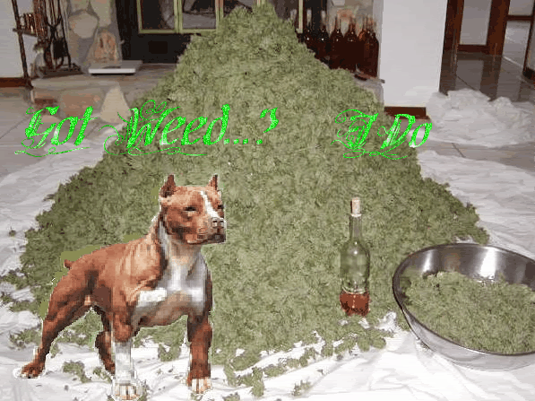 Pit Nutter Circus Ye Olde Smoke Shoppe