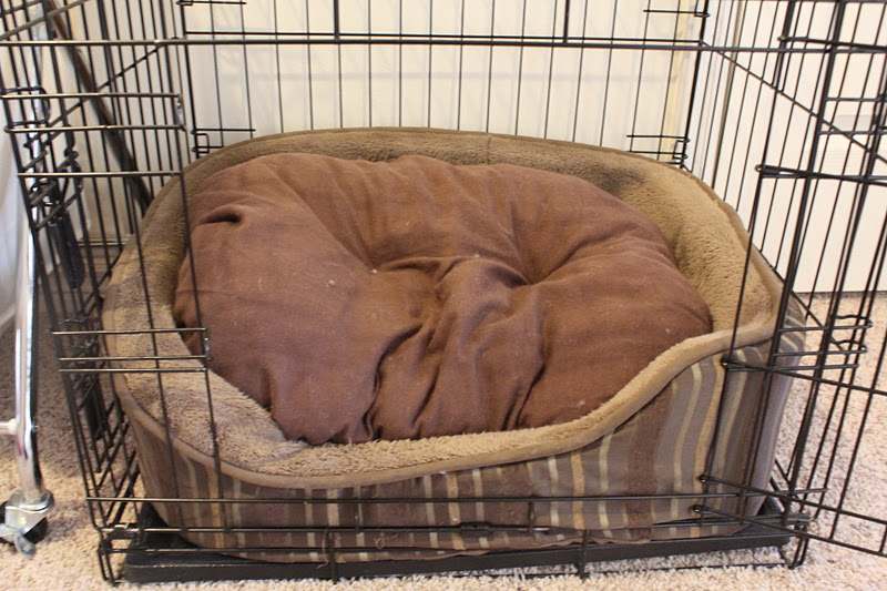RisC Handmade Dog Bed Pillow Recover