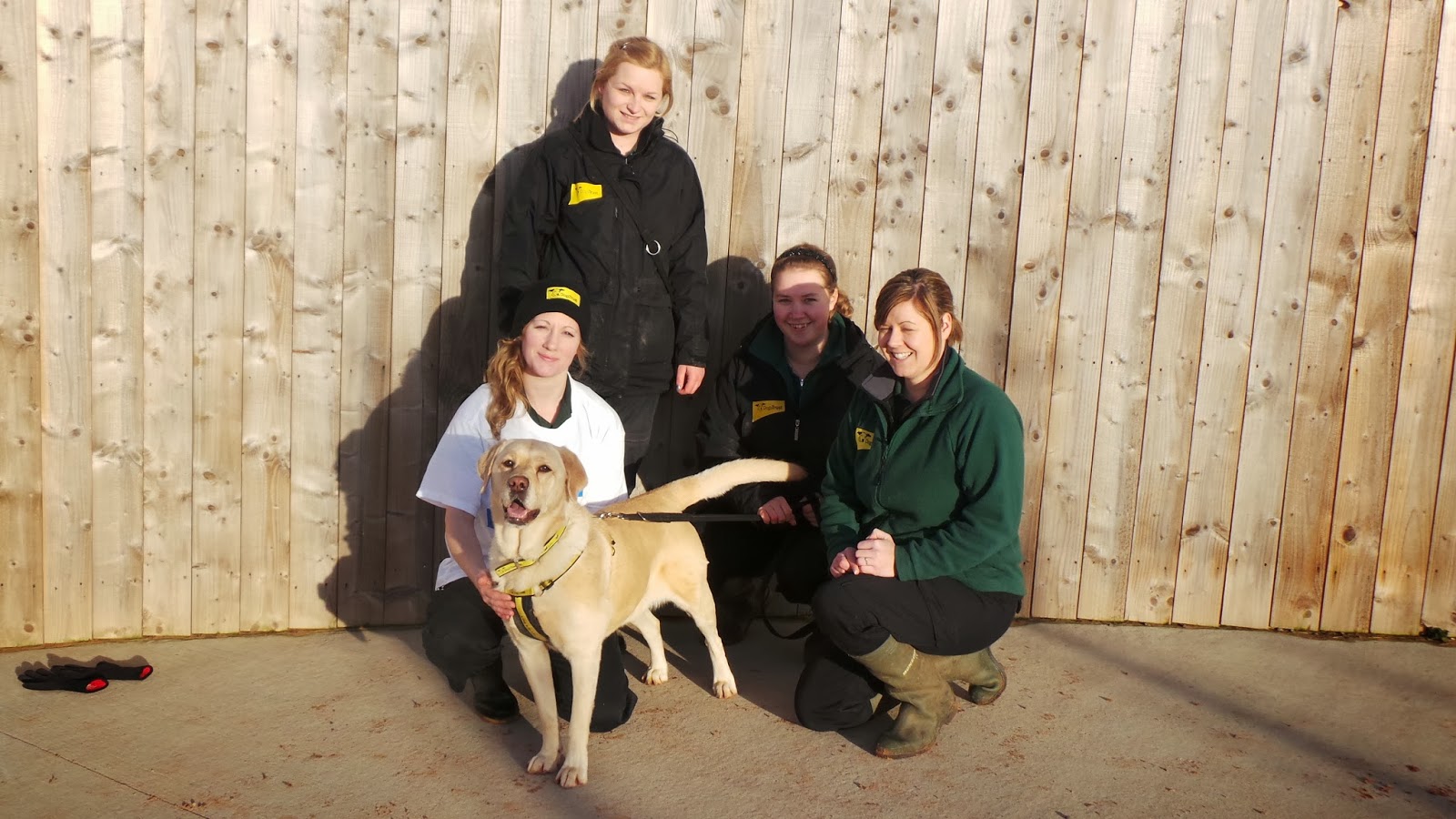 Dogs Trust Dogs Trust Loughborough Whose Team Are You On??