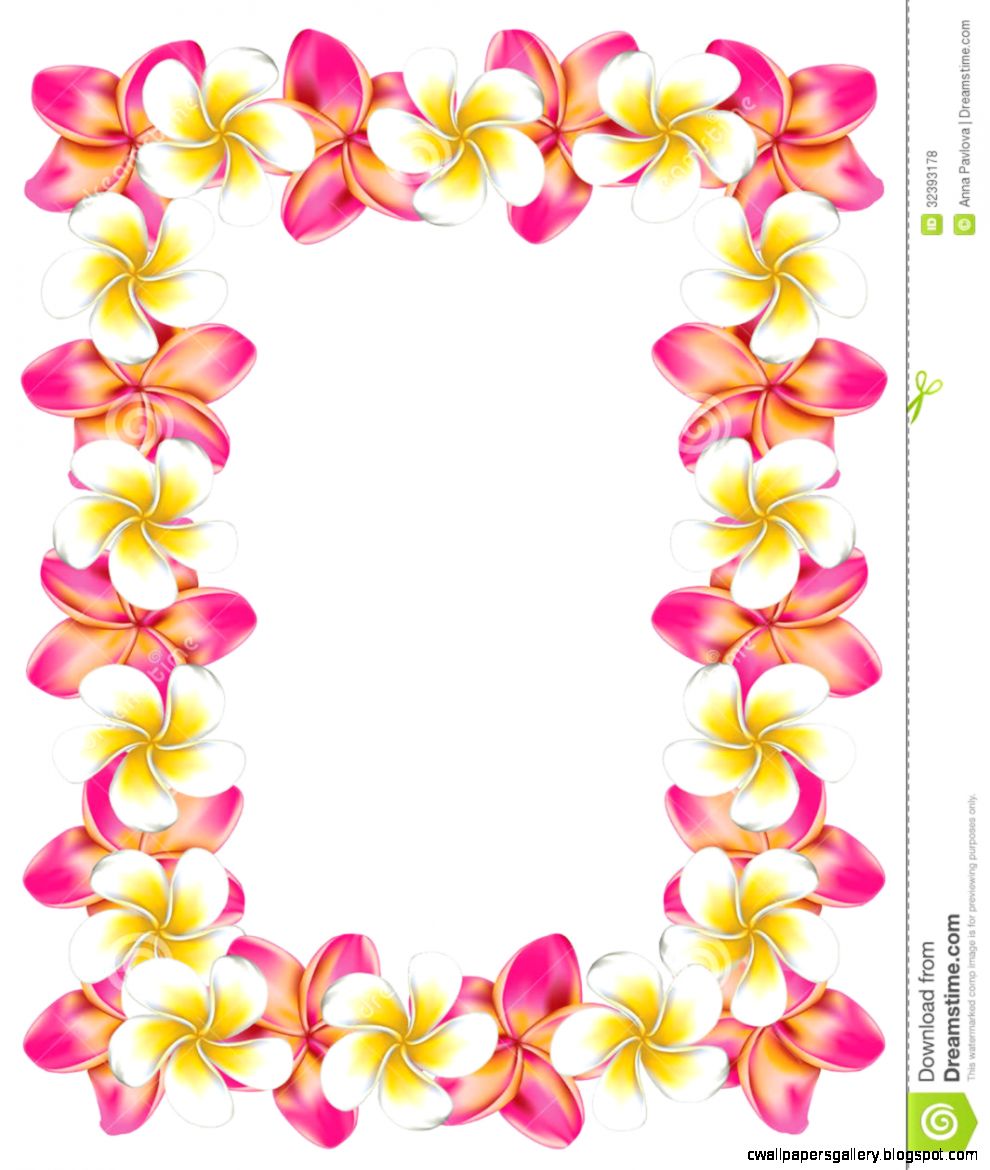  Hawaiian Flower Border  Clip Art Wallpapers Gallery