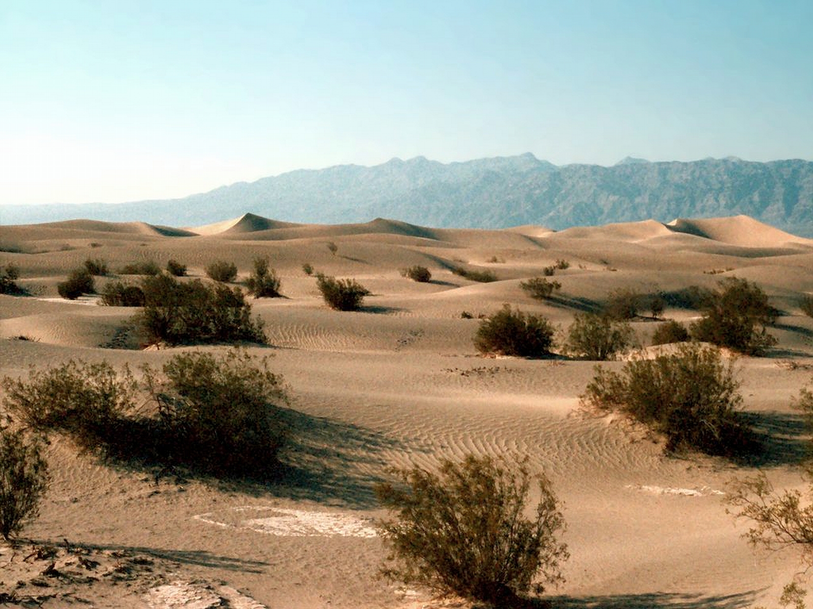 Фрагменты произведений о полупустыне. Полупустыни Юго-Западной Азии. Пустыня Эш-Шам. Пейзаж пустыни Кызылкум. Что такое кокпековые пустыни.