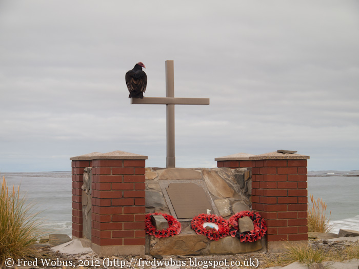 2012.03.26%2B4260%2BFalklands%252C%2Baround%2BEast%2BCove%2B-%2BTurkey%2Bvulture%2Band%2Bmemorial-788646.jpg