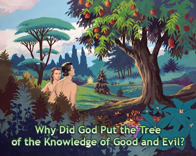 Message For Our Age: Why Did God put the Tree of the Knowledge of Good ...