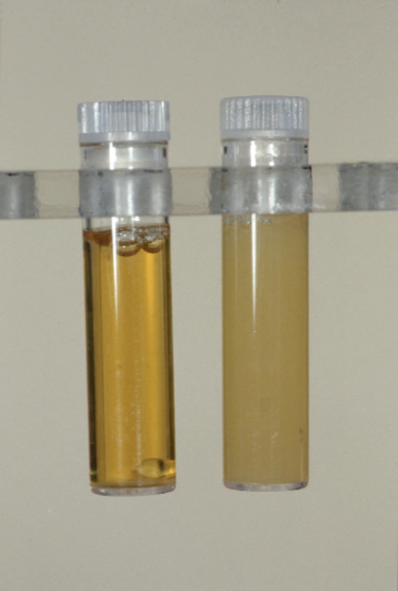 Here's an Experiment I'd Like to See