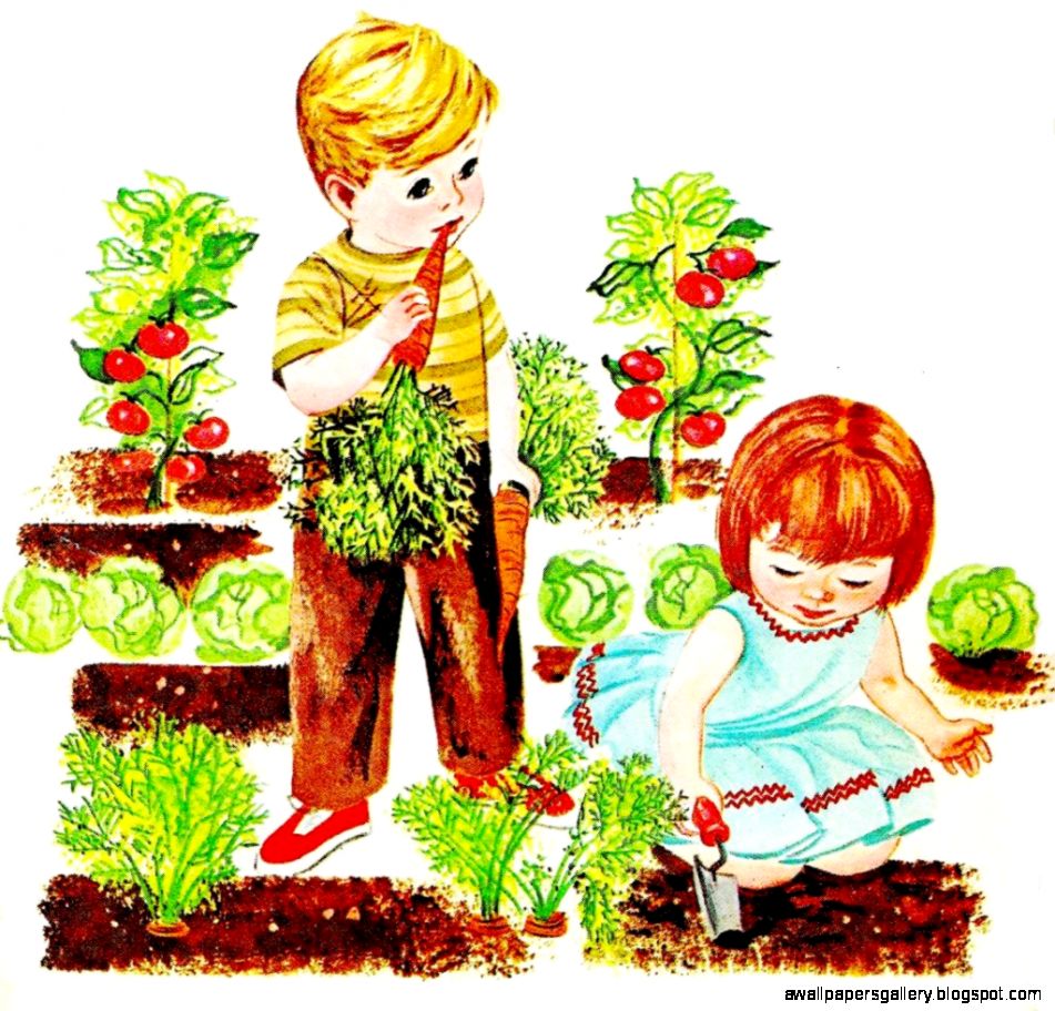 Vegetable Garden Clipart  Clipart Panda   Free Clipart Images