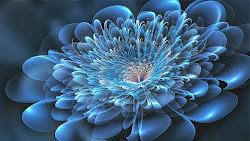 desktop flower digital wallpapers backgrounds