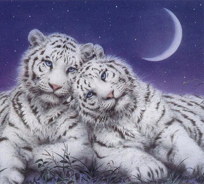 Desktop Backgrounds 4u Fantasy Cats