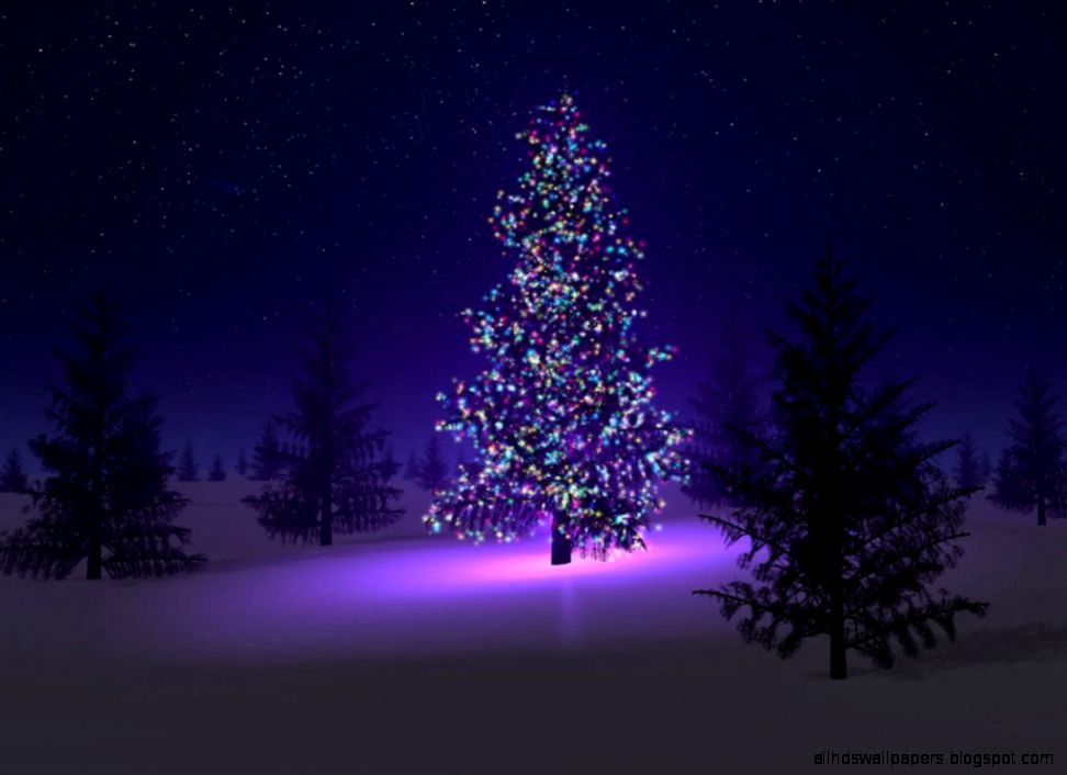 Beautiful Christmas Tree