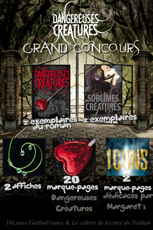 http://dangereusescreatures.blogspot.fr/2014/05/grand-concours.html