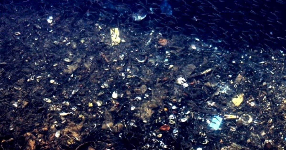 Scientists Discover Pollution 10,000 Meters Below the Ocean’s Surface