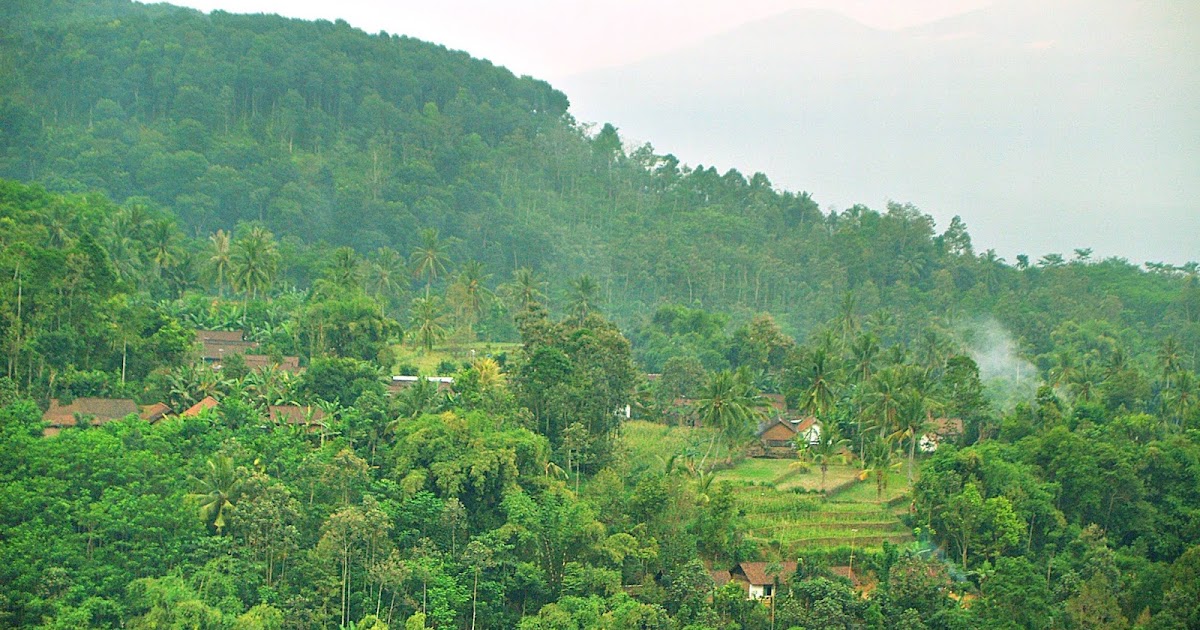 Tempat Wisata Alam Jember yang Wajib Kamu Ketahui | Blogger Jember Sueger