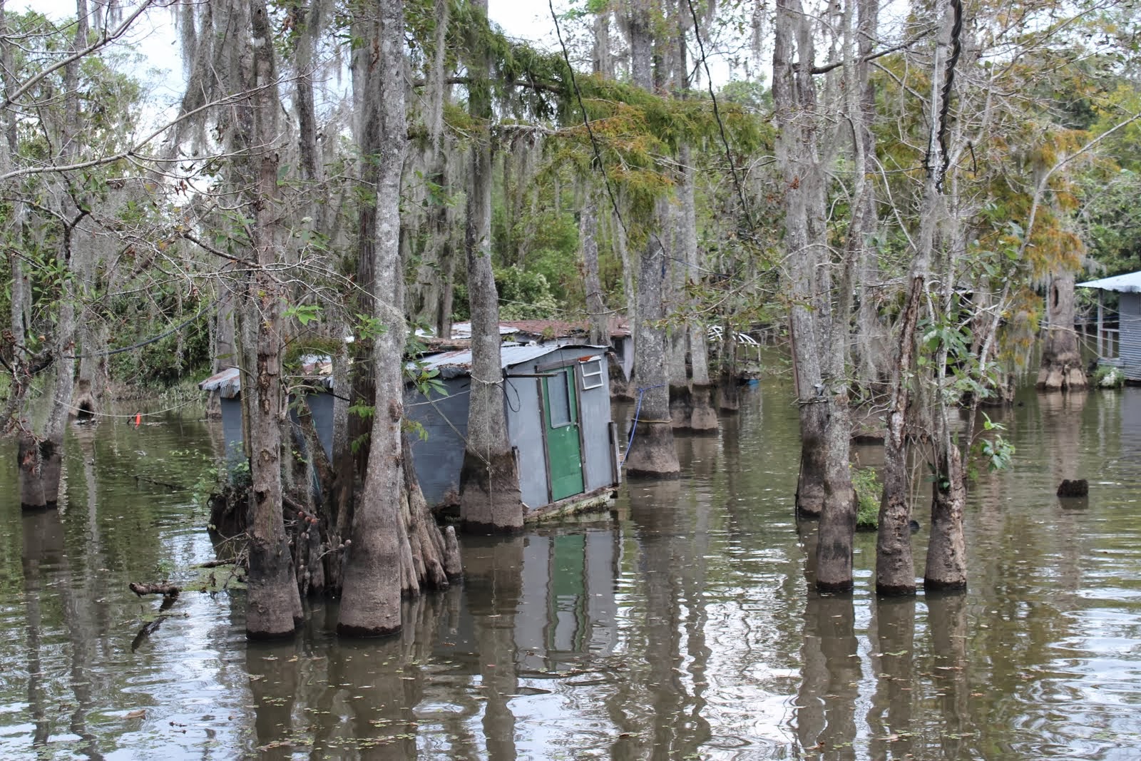 Here and There LIFE ON THE BAYOU