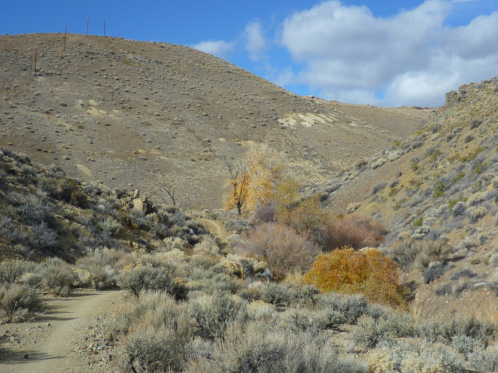 Trailing Ahead Evans Creek and Evans Canyon Trail