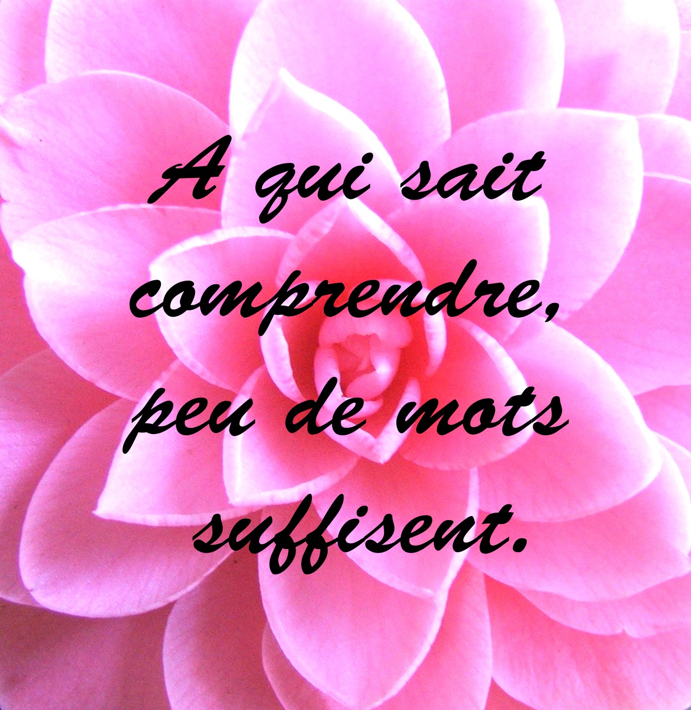 Faut en parler avec Clo: Petite Pensée 2012 (36)