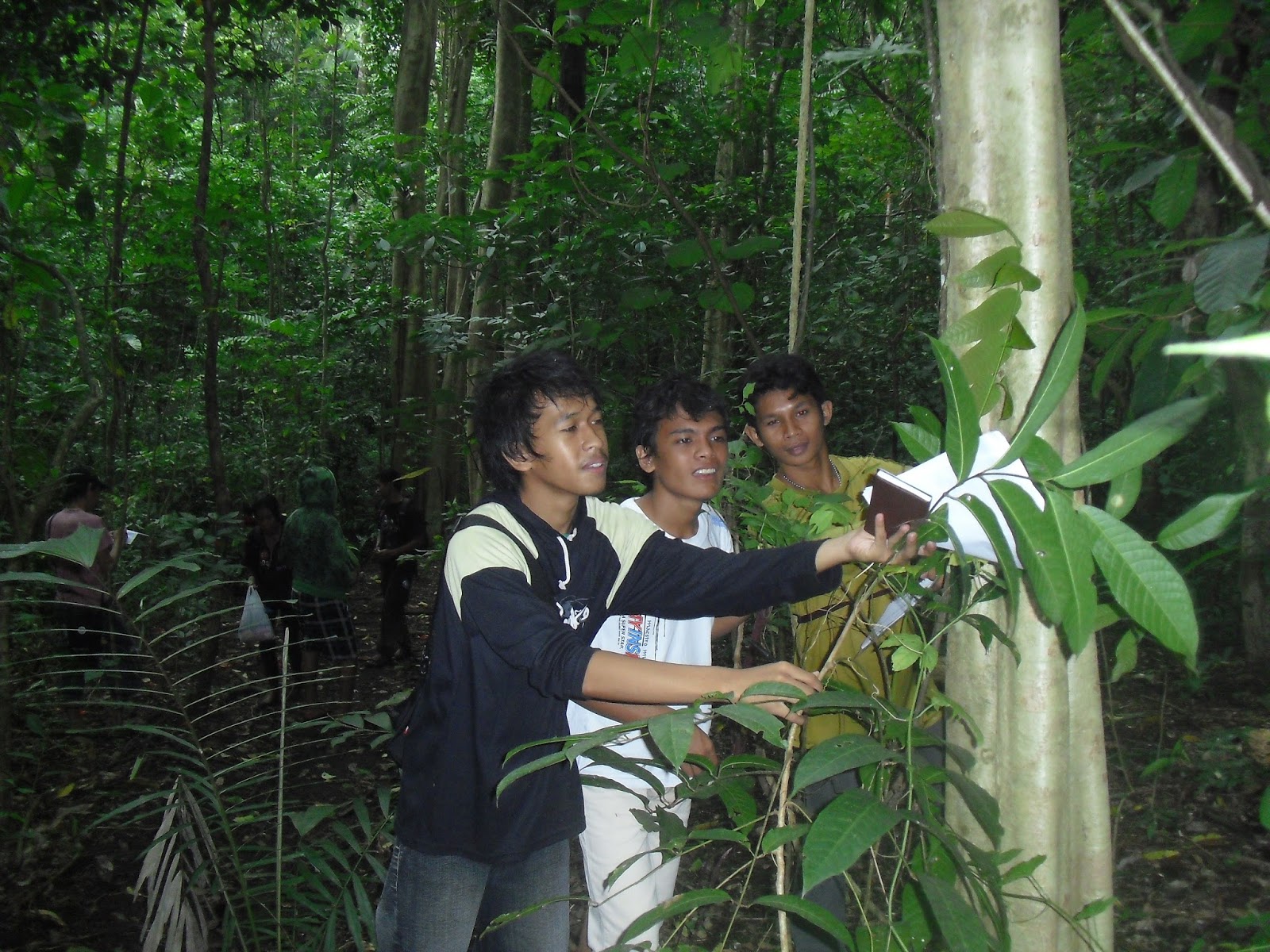 Tutorial Web Hosting Review Hosting Makalah Silvikultur Hutan Alam