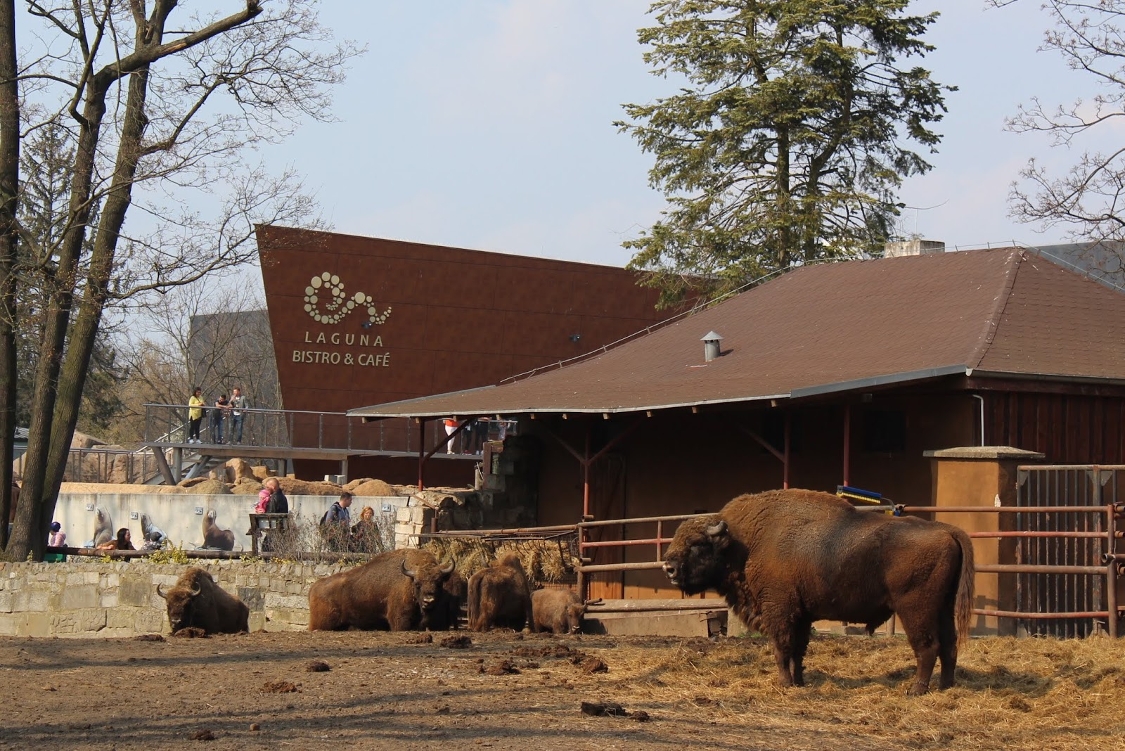 Вроцлав зоопарк