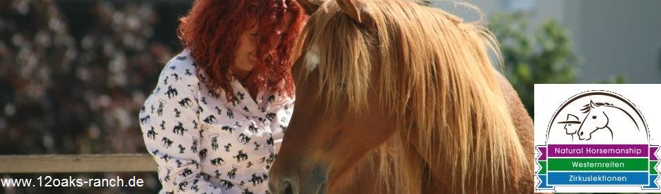 Mit Klick aufs Bild zur Homepage wechseln