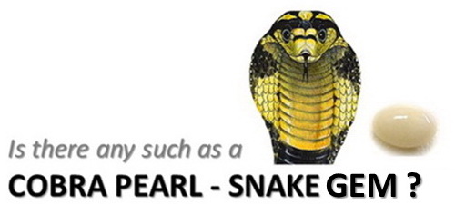 IF ONLY THEY COULD TALK!