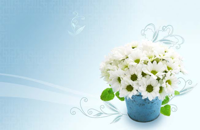 تحميل خلفية أعراس زهور بيضاء مفتوحة للفوتوشوب White Floweral Wedding PSD Packground