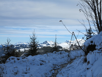 Schnee harz wetter news38 KB Design: Schnee von gestern