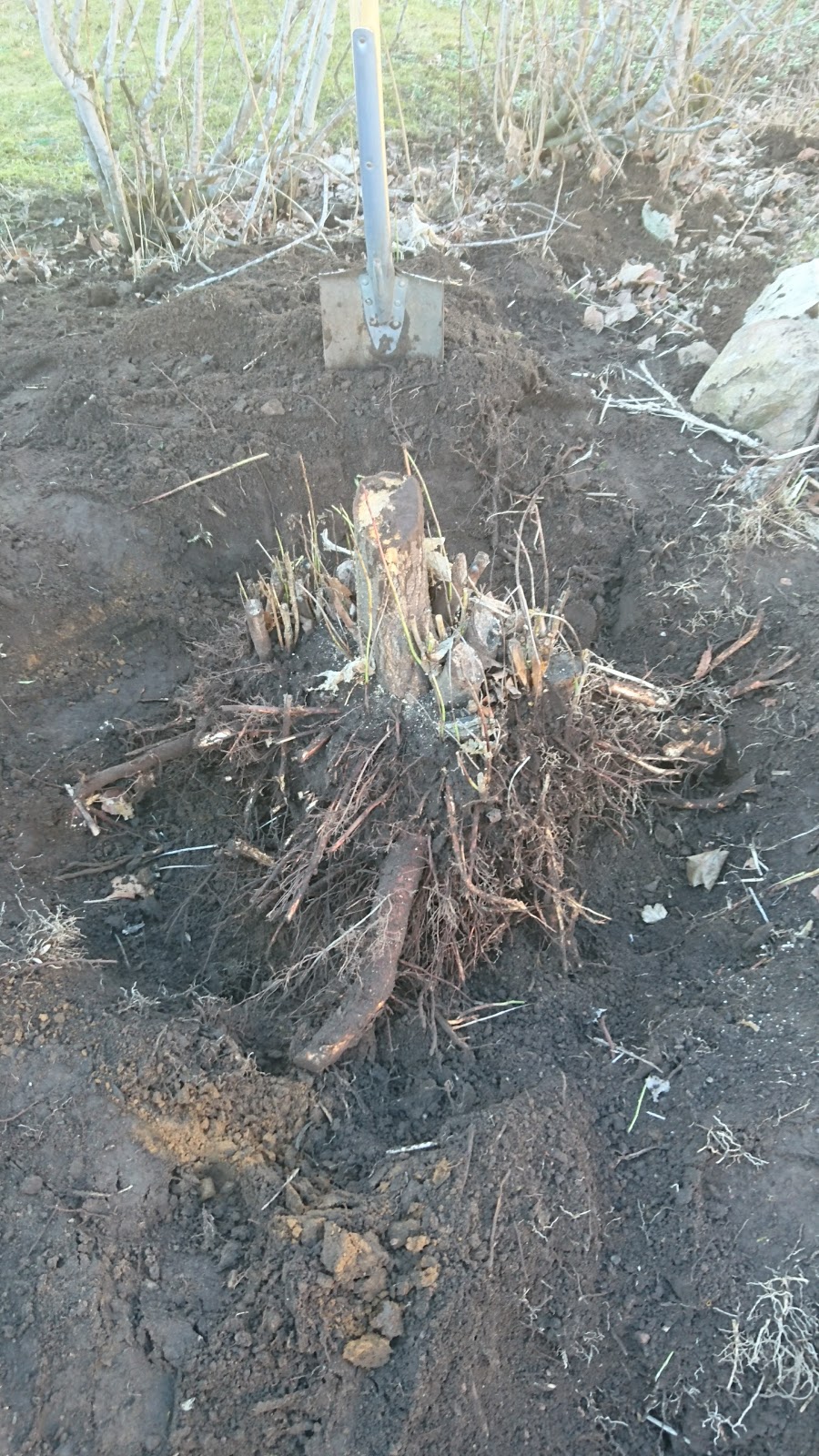 Odlargl dje V rens Alla Anl ggningsprojekt