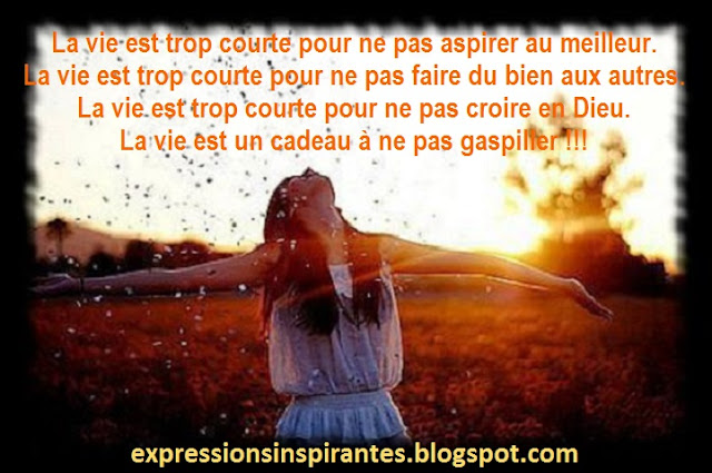 Expressions : La vie est trop courte