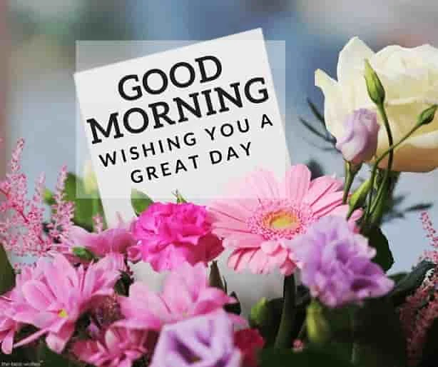 good morning with flowers bouquet wishing you a great day