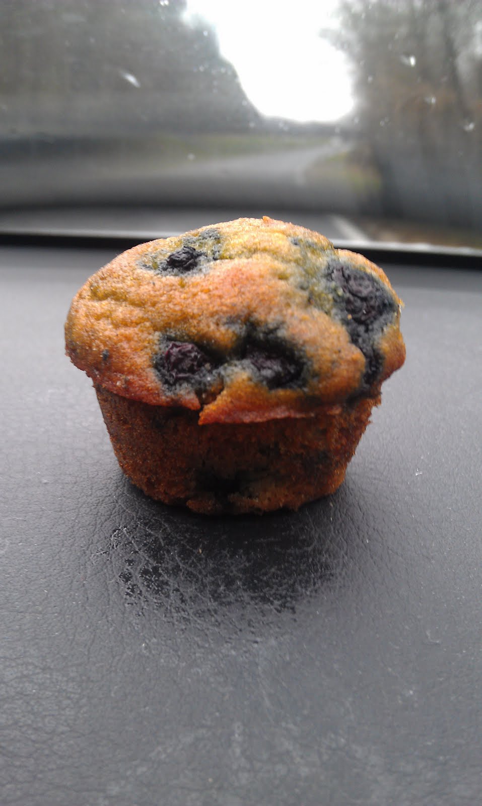 Holimama Coconut Flour Blueberry Muffins