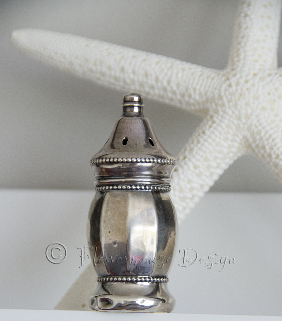 Flowermouse Design Salt Shaker In A Necklace