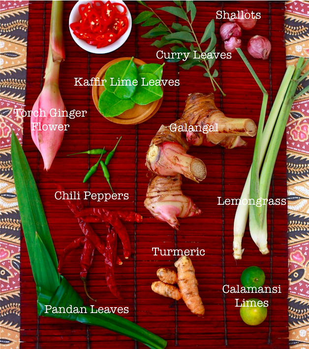 Southeast Asian Herbs and Spices featured on SeasonWithSpice.com