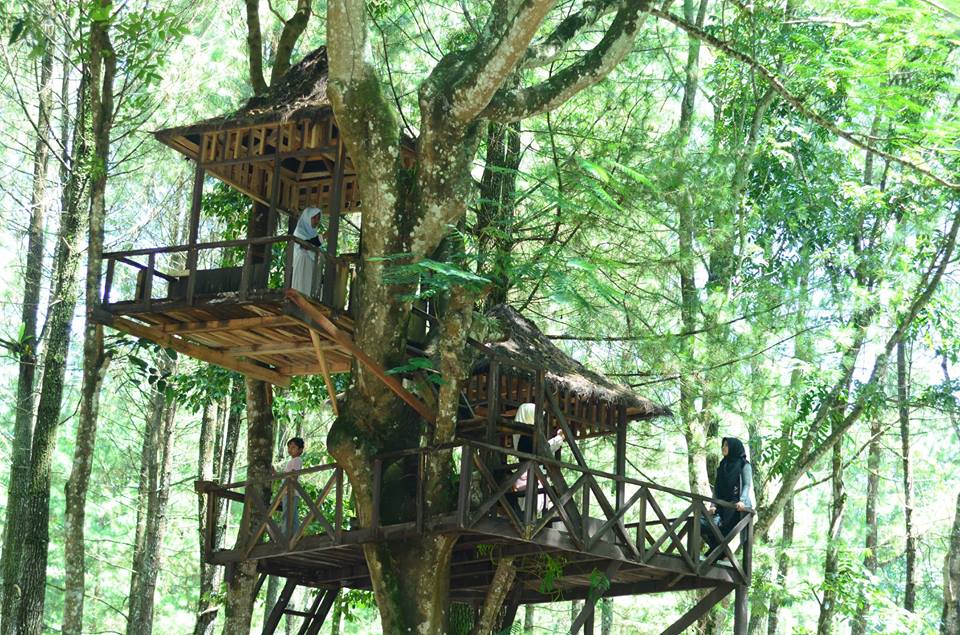 7 Tempat Wisata Alam di Desa Songgon yang Wajib Dikunjungi