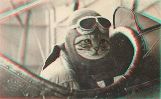 cat-pilot.jpg